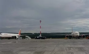 За застрявшими на сутки в Красноярске иностранцами прилетел запасной борт из Индии