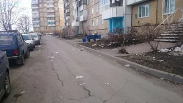 Фото: Кемеровчане возмущены грязными улицами и парками 5