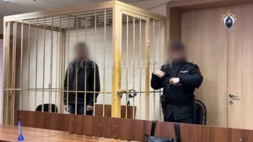 Фото: В Москве обвиняемого в убийстве двухлетнего внука отправили в СИЗО 1