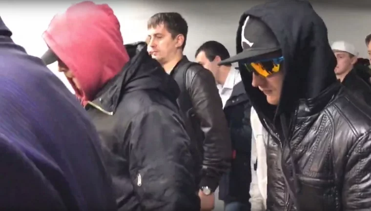 Фото: Несколько десятков человек встретили Nemagia в аэропорту Домодедово 2