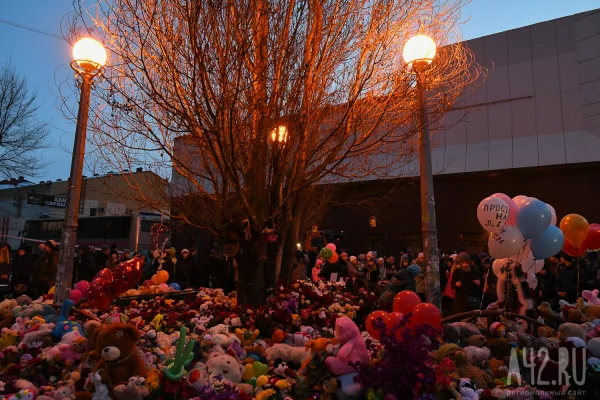 Прошло 8 лет: кузбассовцы вспоминают трагедию в «Зимней вишне»