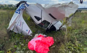 Самолёт упал рядом с трассой в Подмосковье