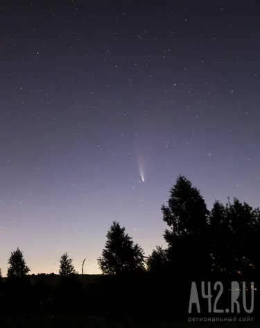 Фото: A42.RU