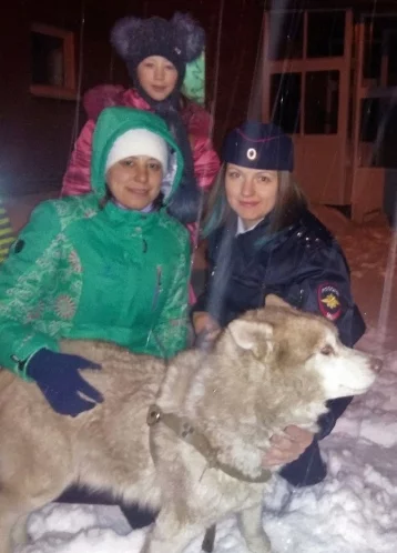 Фото: Потерявшийся хаски сам пришёл к кузбасским полицейским 1