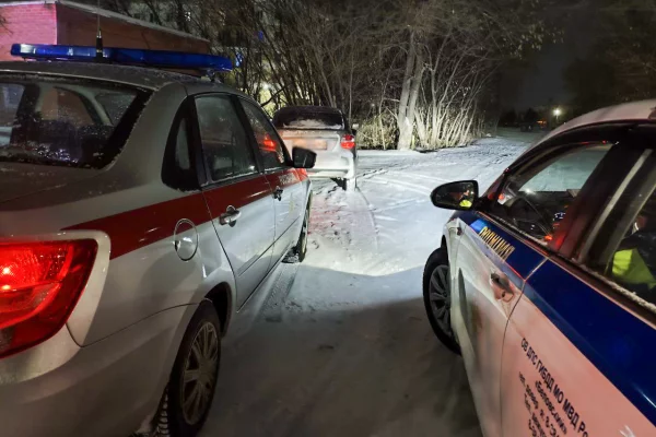 В Кузбассе росгвардейцы задержали пьяного водителя