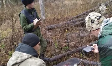 Фото: В Кузбассе начальник лесничества создал ОПГ и потратил 16 млн рублей на квартиры и машины 1