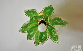 В СКЭК сообщили даты отключения электричества в январе 2026 года в Кемерове