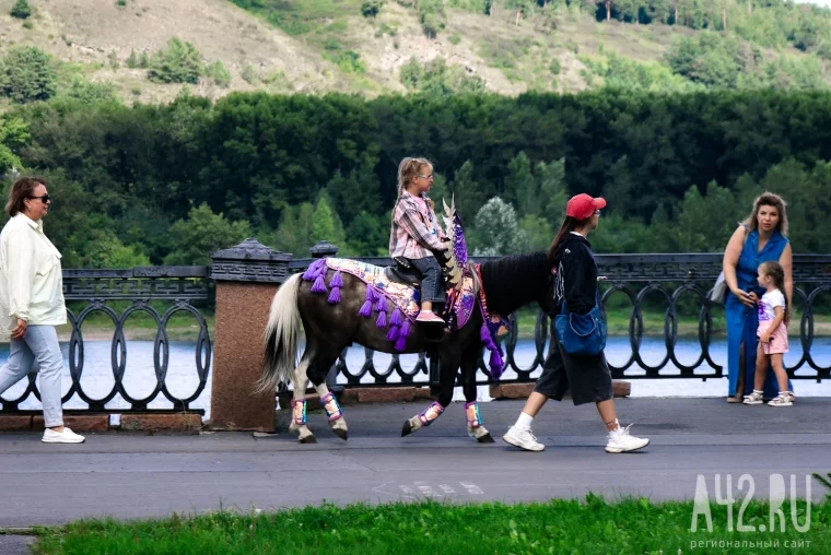 Фото: Сто лет городскому саду: фоторепортаж с юбилея кемеровского «Парка Чудес» 69