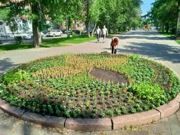 Фото: В Кемерове на клумбах высадили почти 270 тысяч цветов 5
