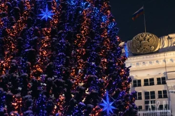 Фото: На площади Советов в Кемерове установят новую ель за 18 миллионов рублей 1