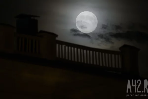 Подозреваемый в убийстве архитектора Супоницкого оставил жене предсмертную записку