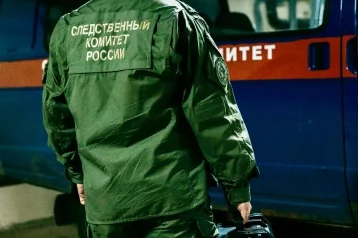 Фото: В Кировской области подростка обвинили в убийстве 10-летнего мальчика 1