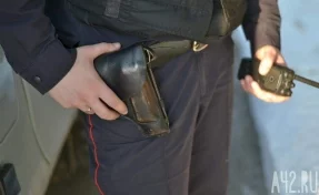 В Кузбассе пьяная женщина угрожала полицейскому ножом