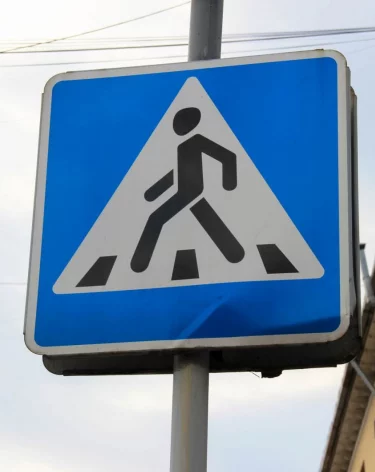 В Нижегородской области обустроили «зебру» для ежей