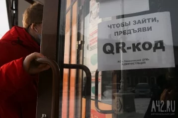 Фото: Пострадали из-за QR-кодов: в парламенте Кузбасса назвали сферы бизнеса, которые получат налоговую поддержку 1