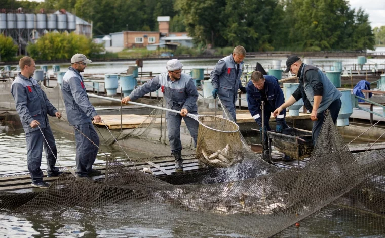 Фото: «Кузбассразрезуголь» выпустил в Беловское водохранилище 3,3 тысячи рыб для очистки водоёма 1