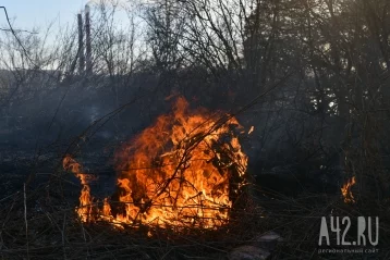 Фото: В Сосновом бору в Кемерове загорелась трава 3