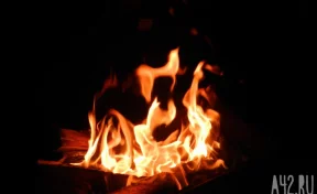 СК назвал, какие действия администратора прокопьевской сауны стали фатальными