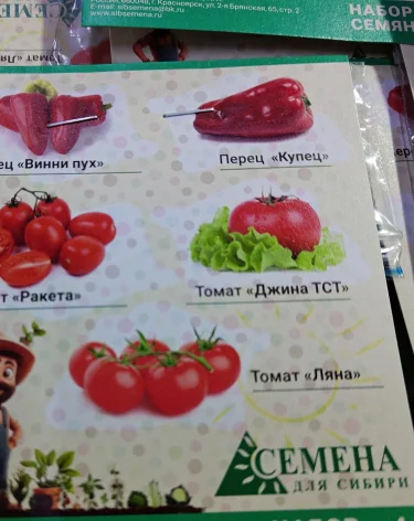 Фото: <a href=https://154.fsvps.gov.ru/news/v-kuzbasse-speczialist-rosselhoznadzora-vyyavil-narusheniya-pri-realizaczii-paketirovannyh-semyan-3/>Сибирское межрегиональное управление Россельхознадзора</a> / Официальный сайт