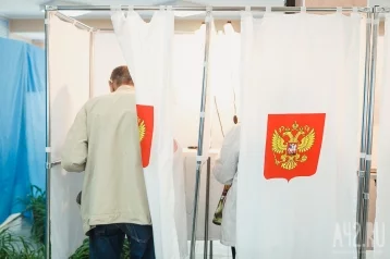 Фото: Социологи узнали, сколько россиян пойдут на выборы 1