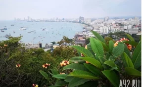 40 россиян попали в ДТП по пути на экскурсию в Таиланде