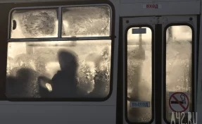 В Сибири автобус зажал дверью и насмерть задавил 85-летнюю пассажирку