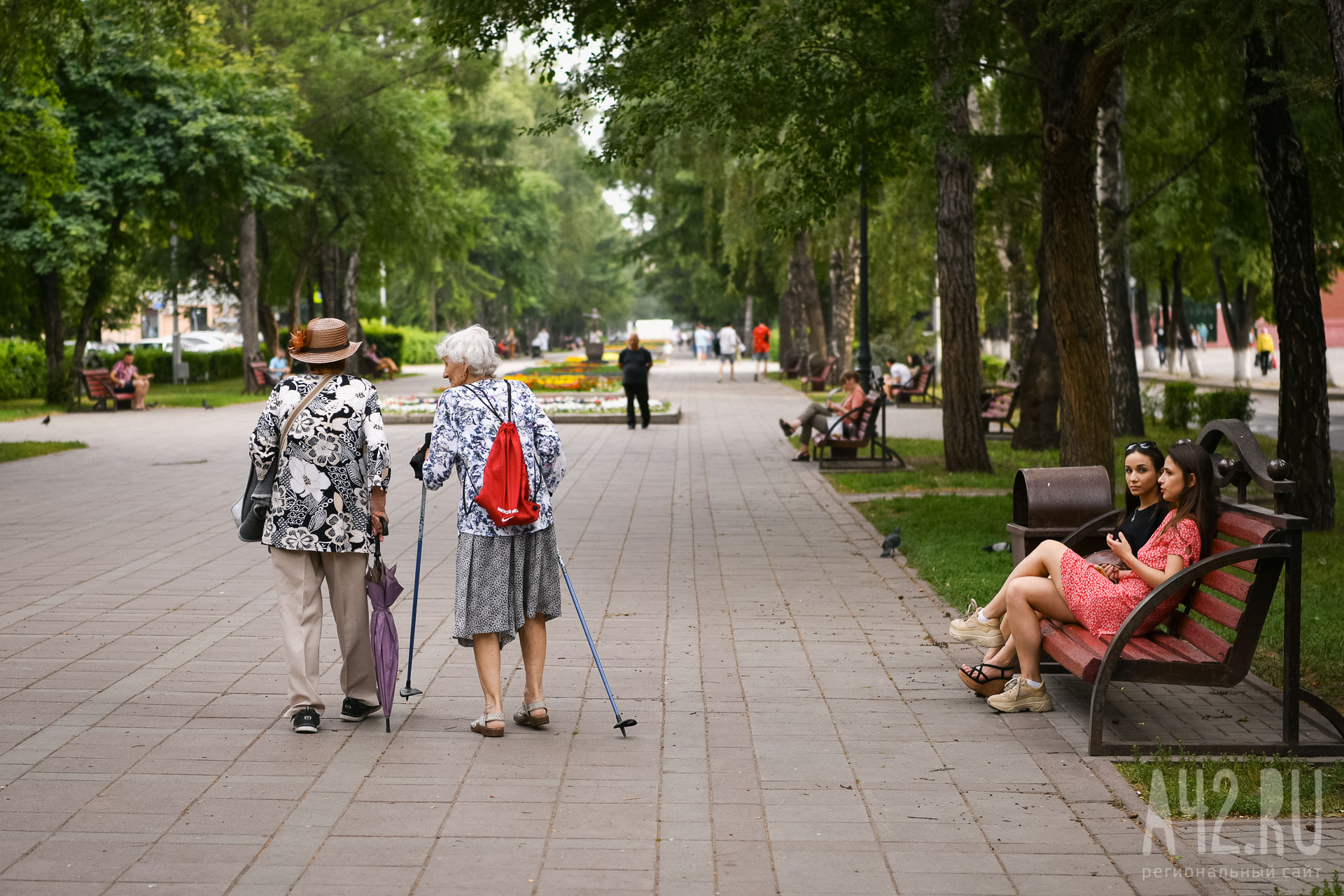 Учёные перечислили семь привычек, которые помогут снизить риск деменции и добиться ясного ума