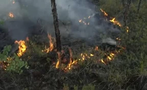 В Сибири для борьбы с лесными пожарами искусственно вызовут дожди