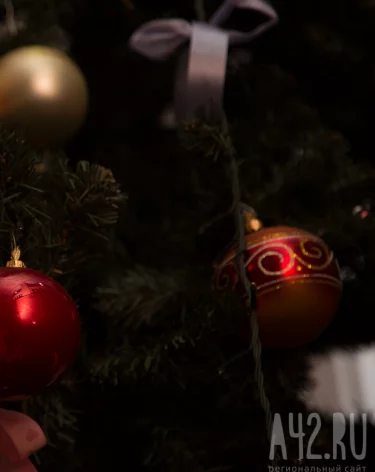 Опрос: кемеровчане планируют потратить на новогодние подарки более 16 000 рублей