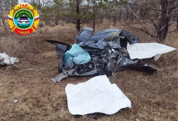 Фото: Lada Granta смяло при столкновении с грузовиком: погибли двое взрослых и ребёнок 1