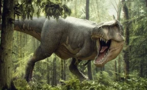 Учёные: перед спариванием динозавры стимулировали друг другу эрогенные зоны