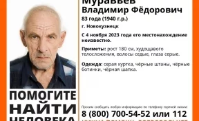 В Кузбассе начались поиски пропавшего 83-летнего мужчины