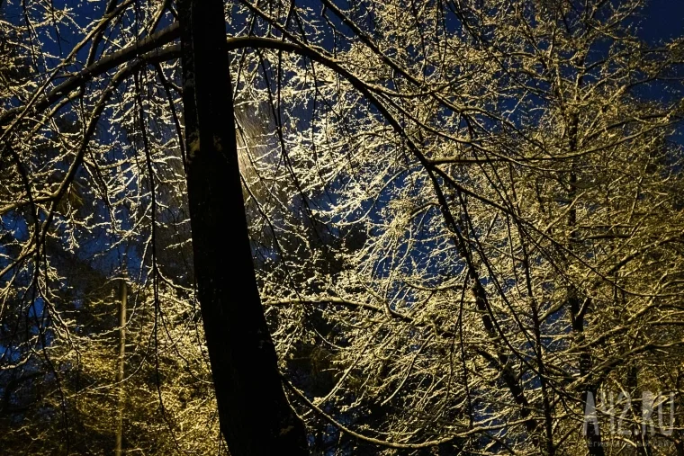 Фото: Снежная ночь в Кемерове 17