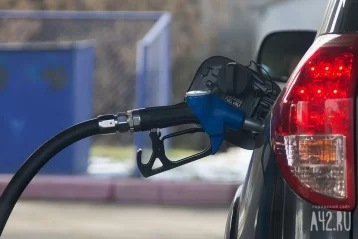 Фото: Депутаты ГД РФ обсудят дополнительные меры регулирования цен на топливо 1