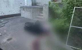 В Москве 6-летний ребёнок выпал из окна 16 этажа, опёршись на москитную сетку 