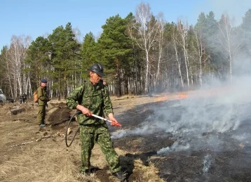 Фото: 18 лесных пожаров произошли за сутки в Кузбассе 1