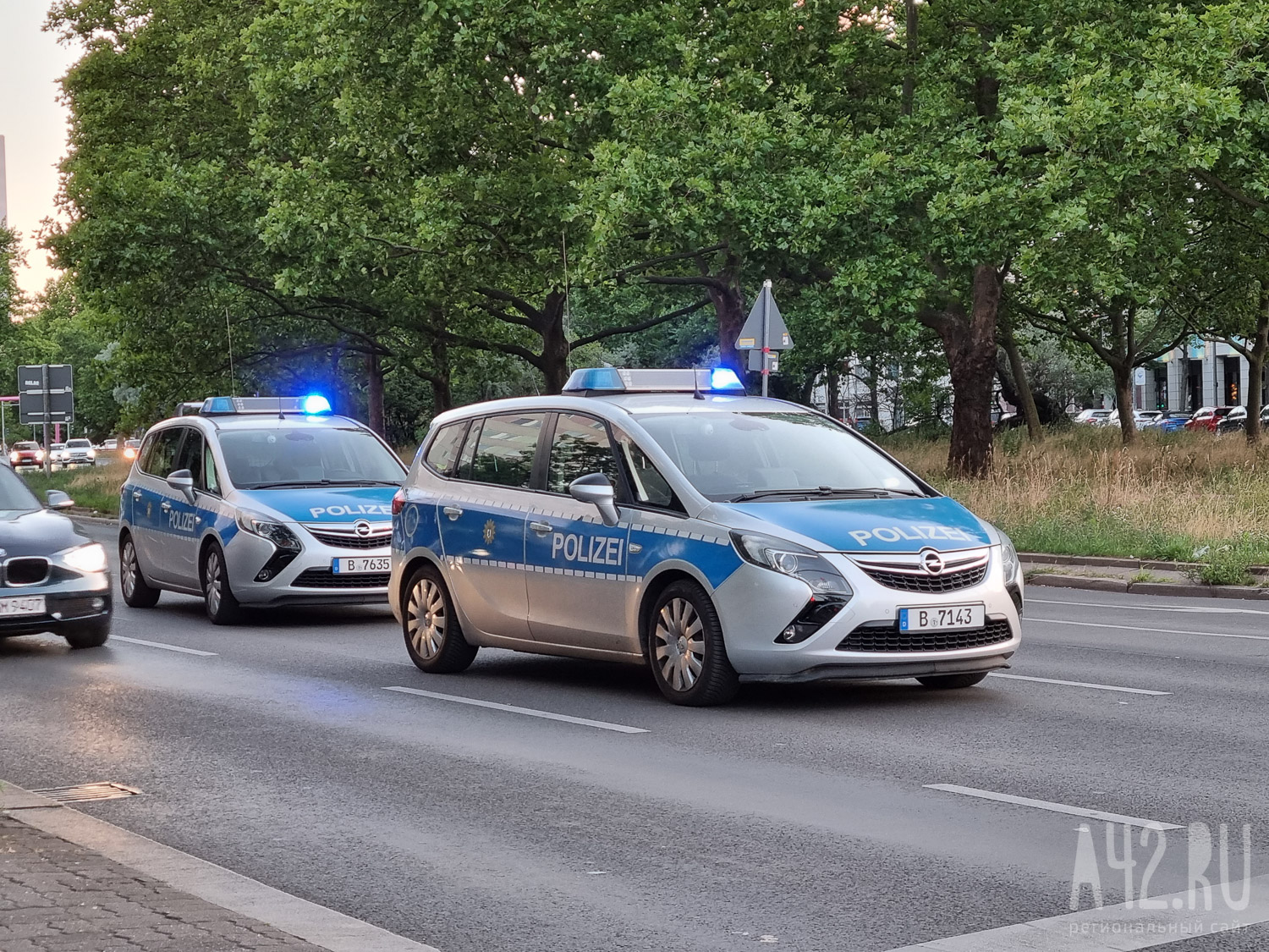 В Сербии полицейские задержали мужчину за угрозы президенту Вучичу