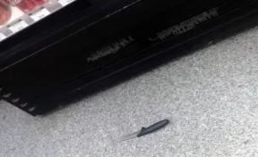 В Кузбассе росгвардеец обезоружил рецидивиста, напавшего с ножом на продавца магазина