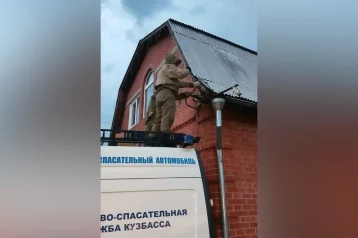 Фото: В Кузбассе шершни атаковали частный дом: потребовалась помощь спасателей 1