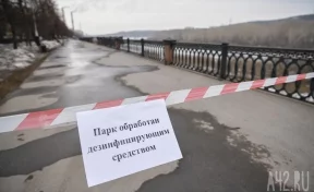 Дезинфекция парков и сигнальные ленты: Кемерово продолжает бороться с коронавирусом
