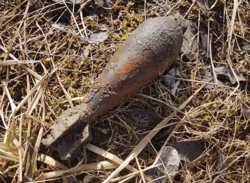 Фото: Сапёры обезвредили найденную мину времён ВОВ в Петродворце 1
