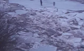 Трое детей и собака едва не погибли в Новгородской области, оказавшись на льдине