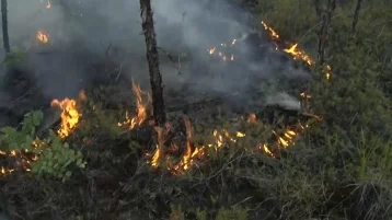 Фото: В Сибири для борьбы с лесными пожарами искусственно вызовут дожди 1