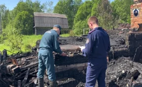 Житель Новгородской области сжёг дом с бывшей женой и её сыновьями