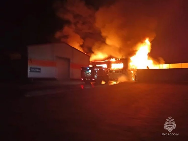 Фото: Опубликованы фото мощного пожара на складе в Подмосковье 2