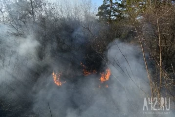 Фото: В Сосновом бору в Кемерове загорелась трава 4