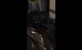 В Минздраве Кузбасса прокомментировали видео с переполненным трупами моргом в Новокузнецке