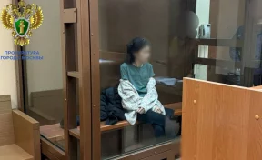 В Москве женщина призналась в убийстве 6-летнего сына