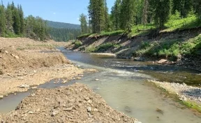 В Кузбассе суд приостановил на 90 суток работу ещё одного золотодобытчика