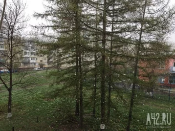 Фото: 9 мая в Кузбассе выпал снег 1